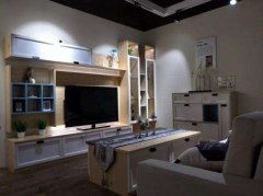 德國(guó)漢莎全屋定制和索菲亞哪個(gè)品牌好