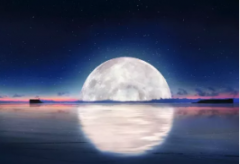 中秋煥新家，教你打造儀式感家居